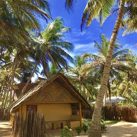 Seahorse Beach Resort Kalpitiya Luaran gambar
